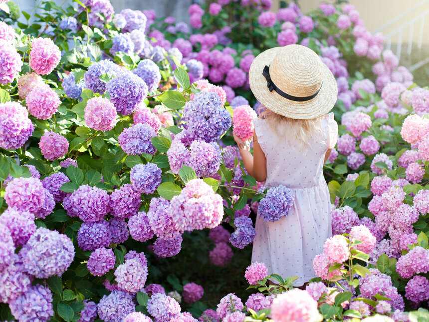 10 nejkrásnějších kvetoucích keřů do zahrady